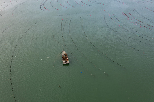 大海海洋水产养殖