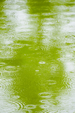 小雨雨季