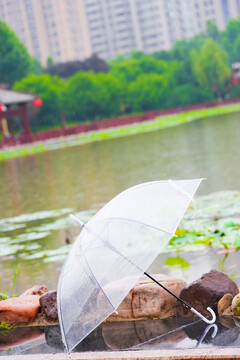 雨后雨伞