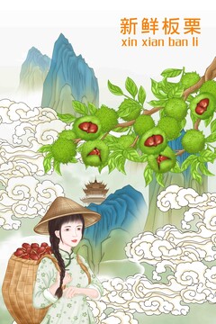 板栗包裝插畫