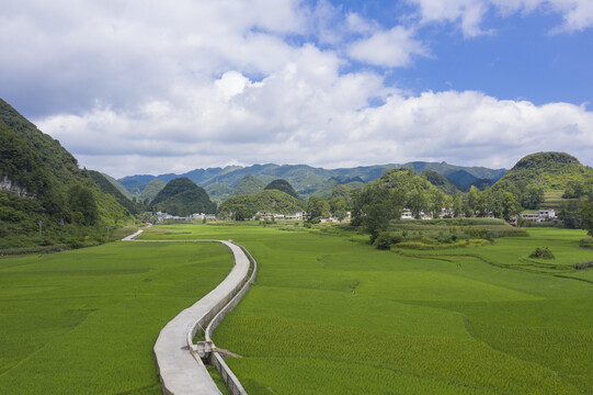 乡村振兴建设