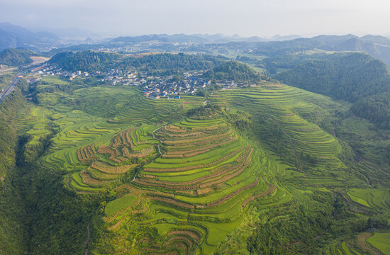 贵州梯田