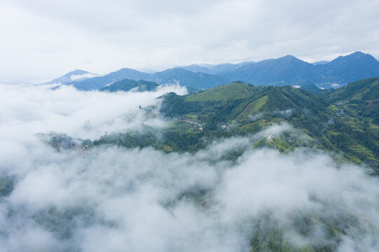 山区云雾