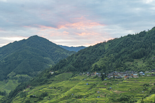 岩寨梯田