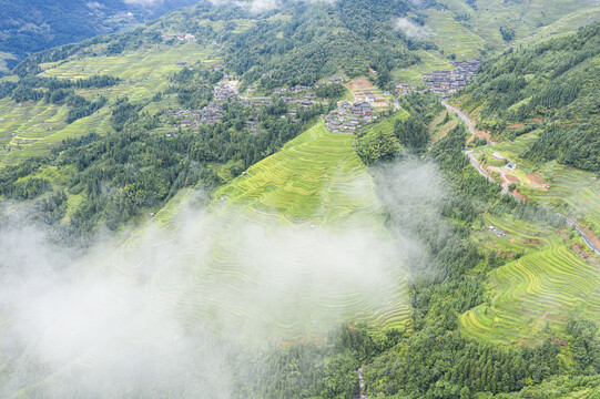 加榜梯田