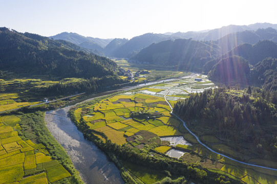 山区梯田稻田