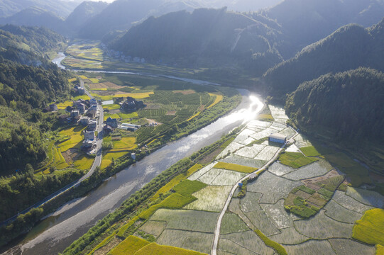 山村稻田风光