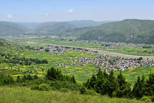 蓝天绿树新农村