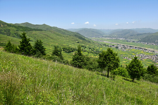 蓝天绿树新农村