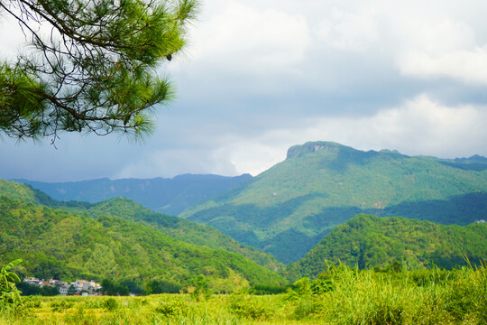 青山绿水