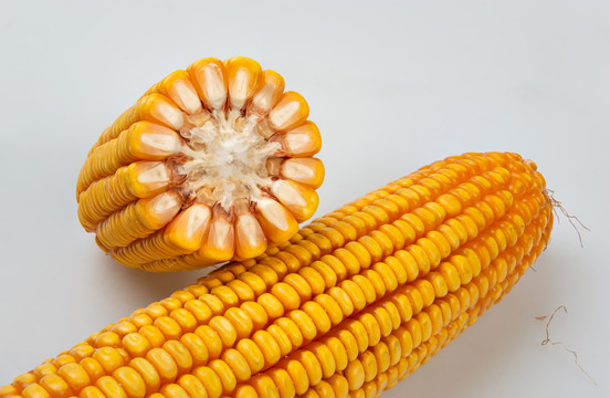 玉米棒图片