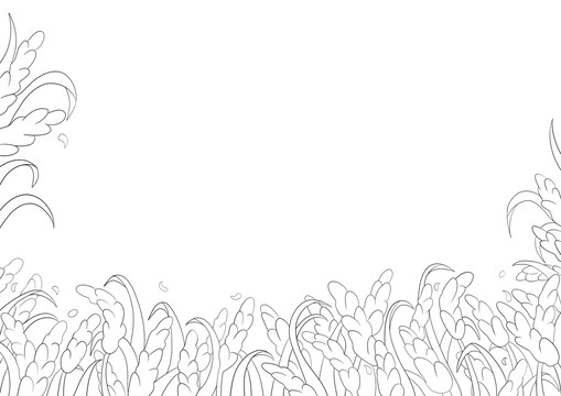 水稻