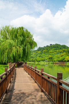 绍兴镜湖国家城市湿地公园