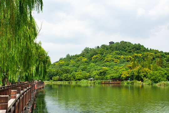 绍兴镜湖国家城市湿地公园