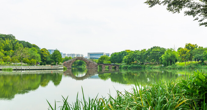 绍兴镜湖国家城市湿地公园