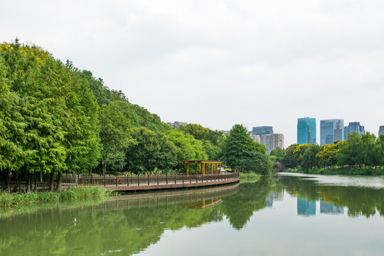 绍兴镜湖国家城市湿地公园