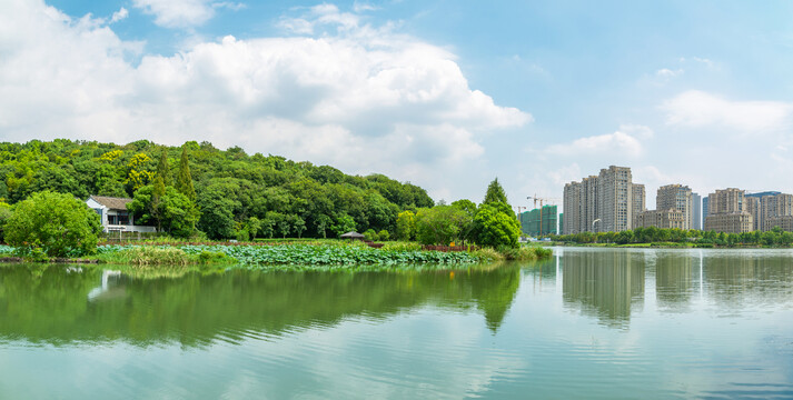 绍兴镜湖国家城市湿地公园