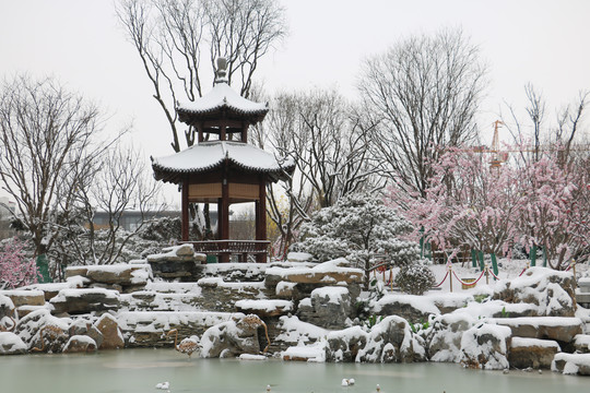 雪后的江南园林