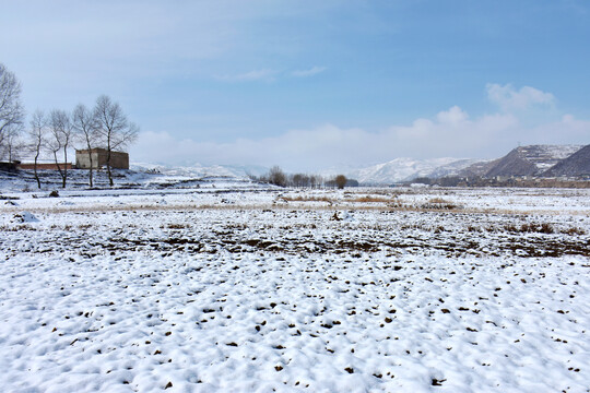 乡村雪霁