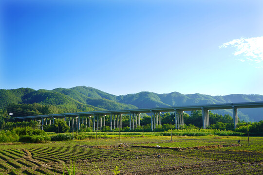 田野高架桥