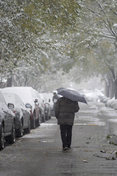 校园里一位老人撑伞在雪中行走