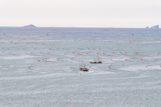 海洋牧场水产网箱养殖