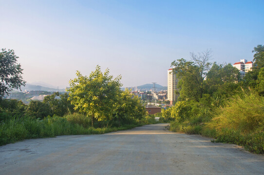 乡村坡道水泥路