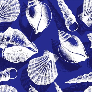 AI矢量海洋海螺貝殼圖案