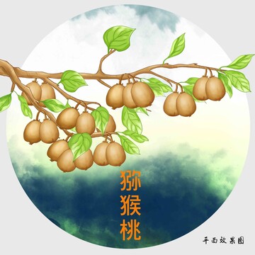 手繪獼猴桃