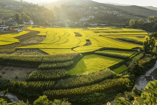 山村秋色