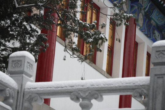 北京大学校园雪景