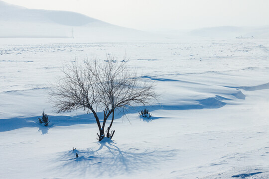 冬季草原雪原积雪