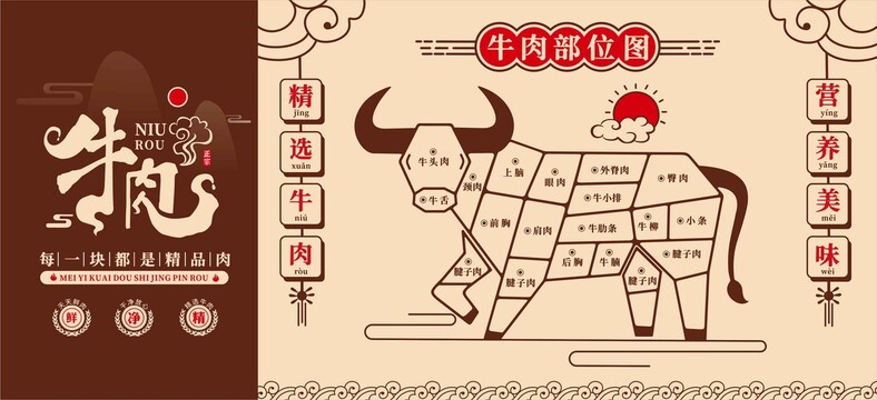 牛肉部位图