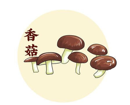香菇插画