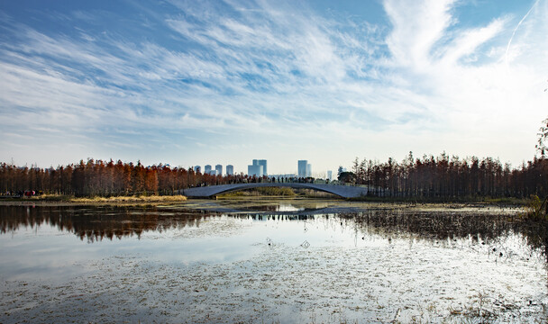 鱼尾洲湿地公园秋景