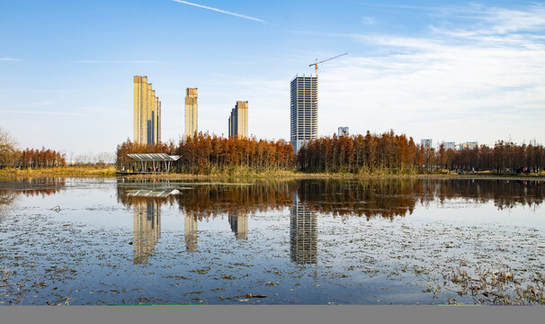 鱼尾洲湿地公园秋景