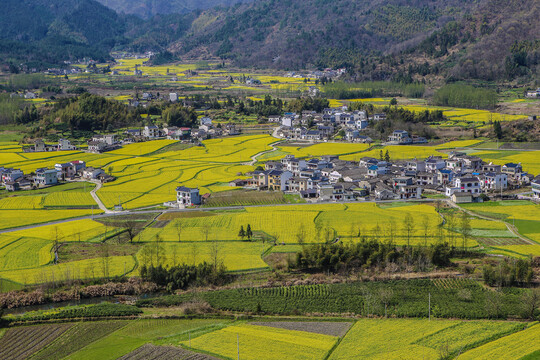 黟县柯村风光