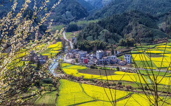 黟县柯村风光