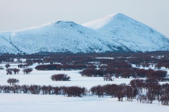 雪山树林湿地