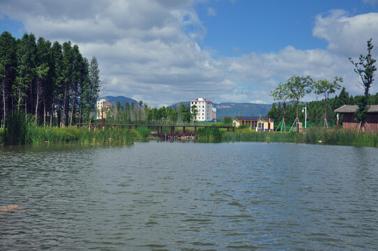 昆明宝丰湿地