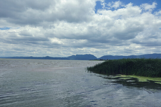 昆明宝丰湿地