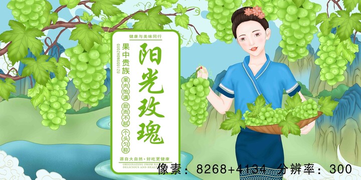 陽光玫瑰包裝插畫