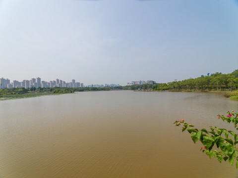 广西南宁市五象湖风光