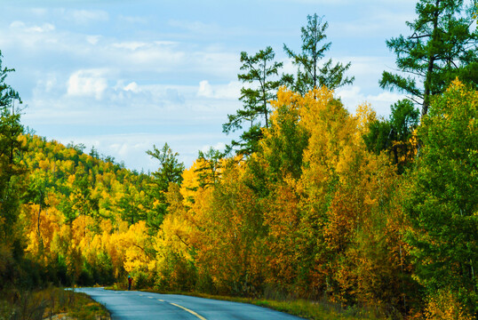 秋季多彩森林道路