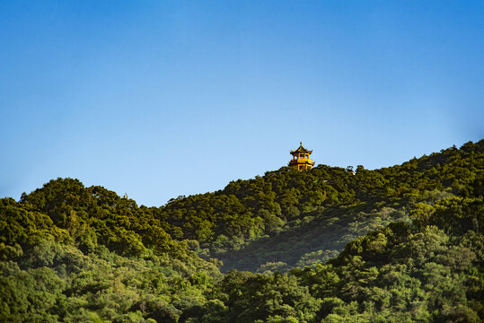 梧桐山凤凰台远眺