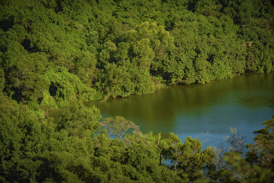 东湖风景