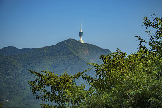 远眺梧桐山