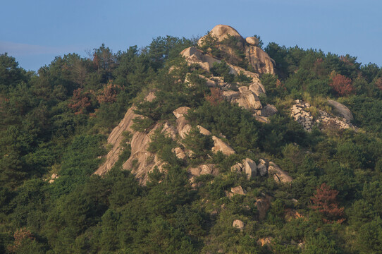 岩石森林之山