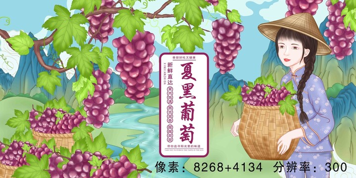葡萄包裝插畫