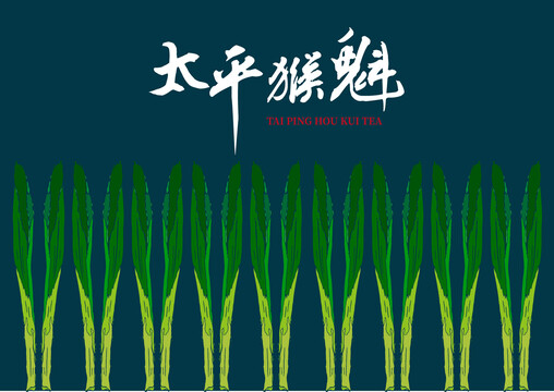 太平猴魁包裝插畫(huà)